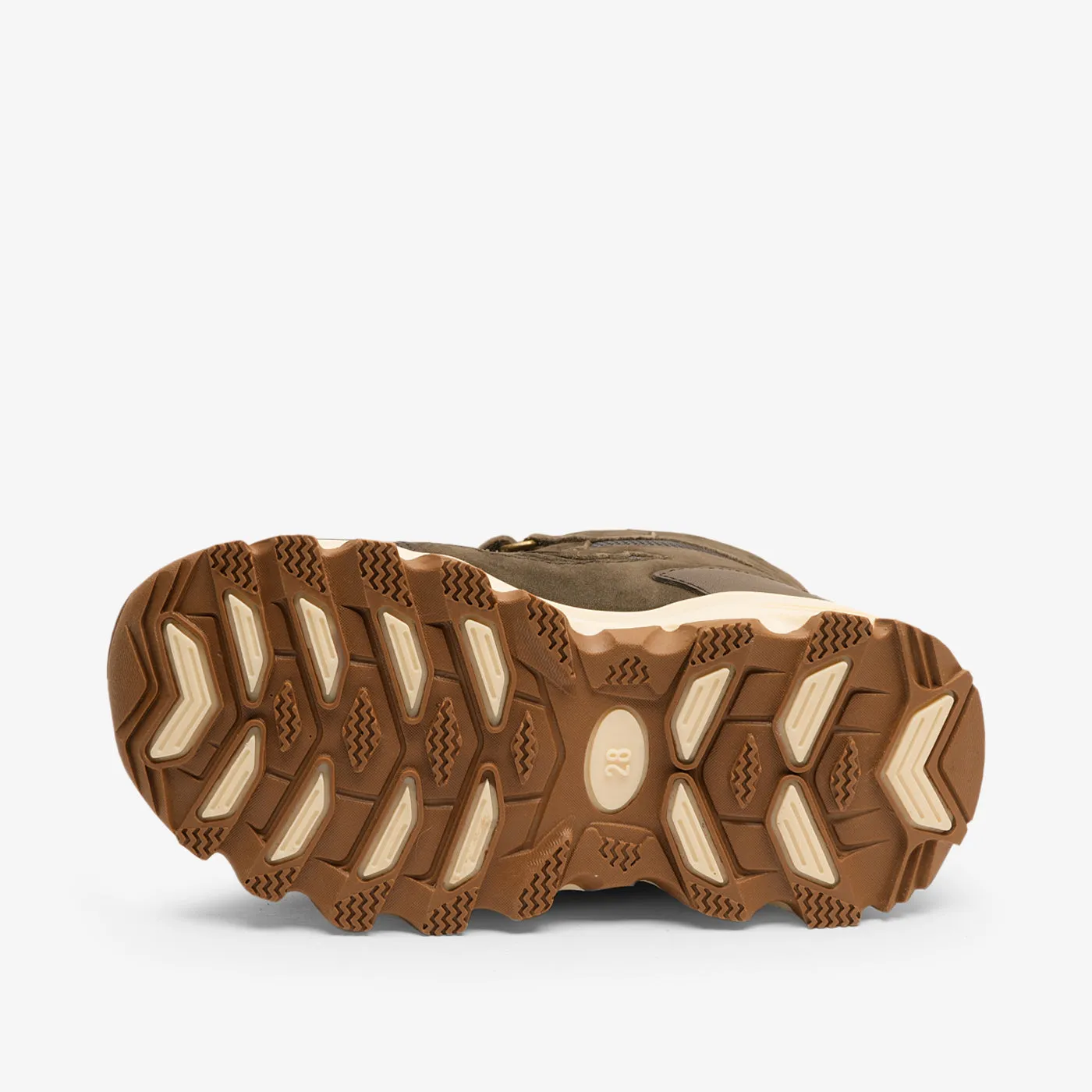 bisgaard edon tex forest