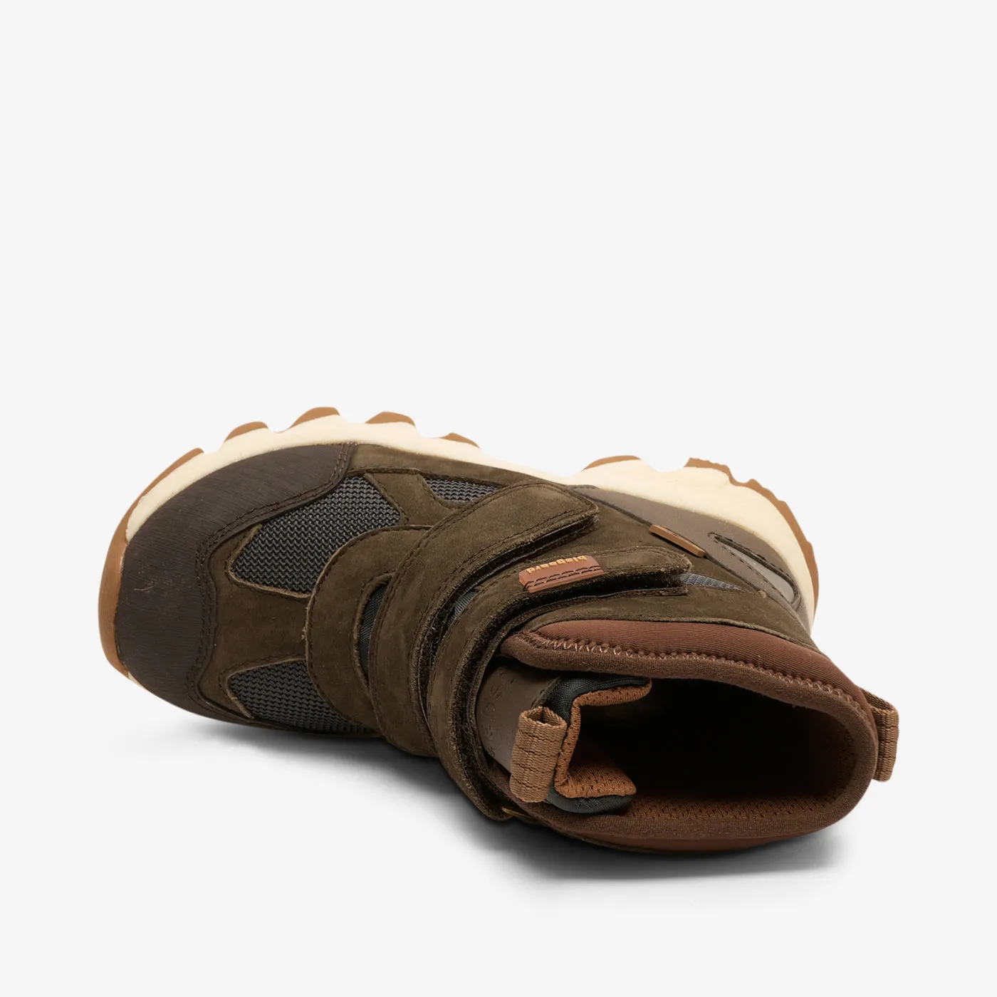 bisgaard edon tex forest