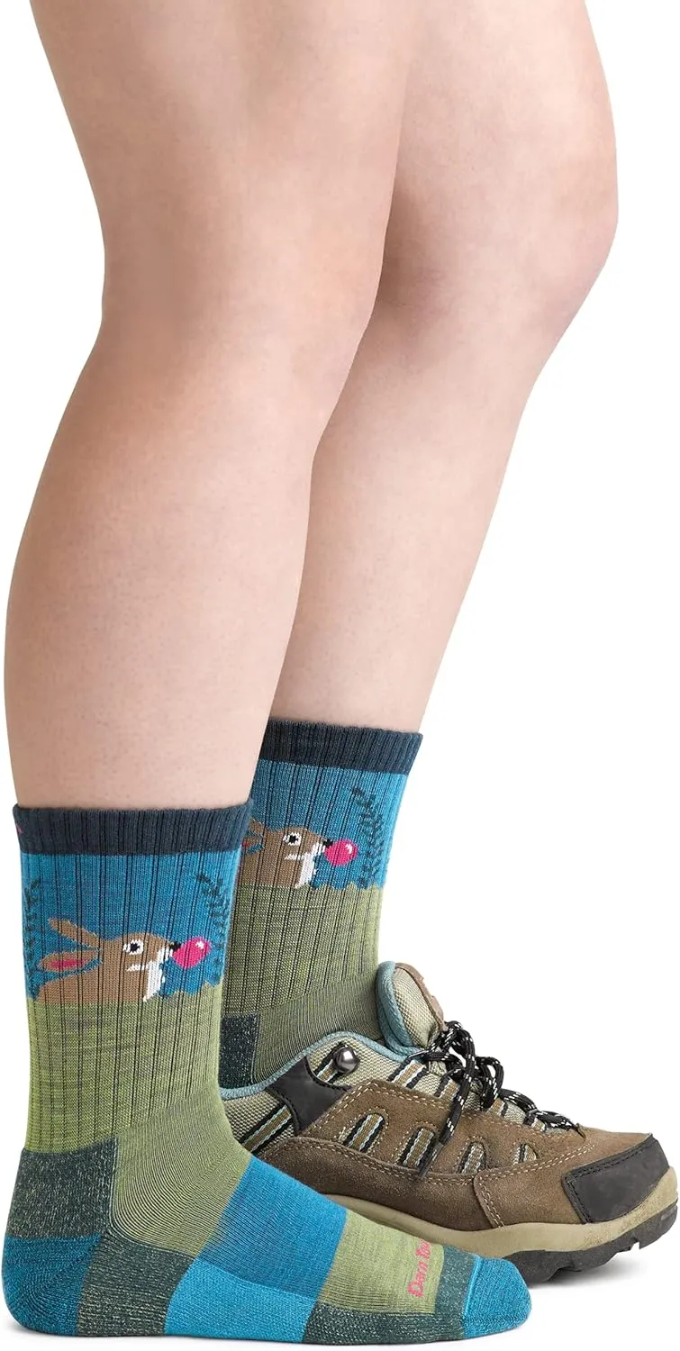 Darn Tough Bubble Bunny Jr. Micro Crew Juniors Sock (Style 3032)