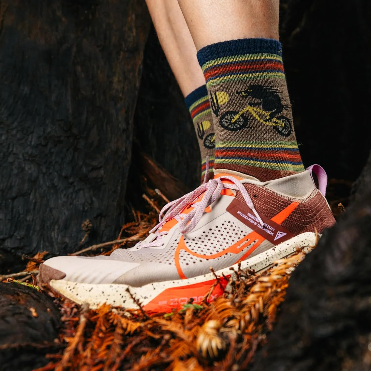 Darn Tough Men's Willoughby Micro Crew Lightweight with Cushion Sock (Style 5003)