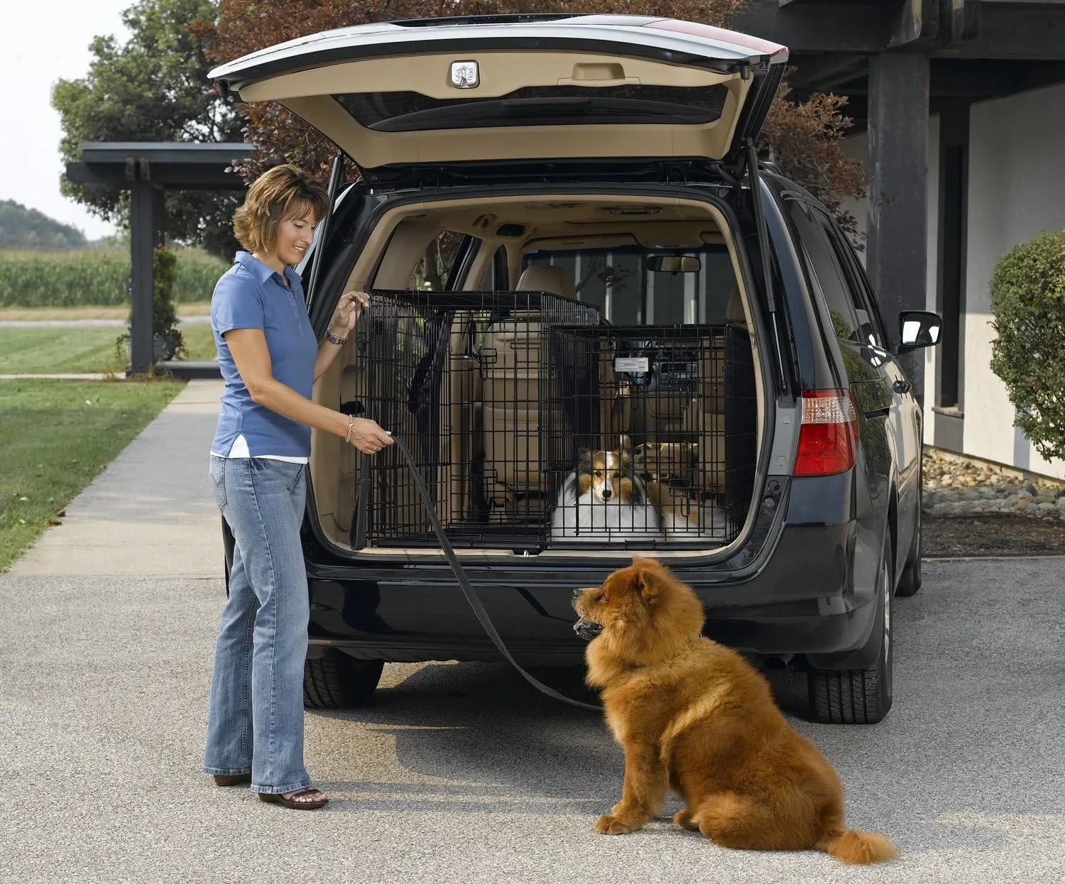 MidWest Homes for Pets Side-by-Side Double Door SUV Crate with Plastic Pan, 36-Inch by 21-Inch by 26-Inch