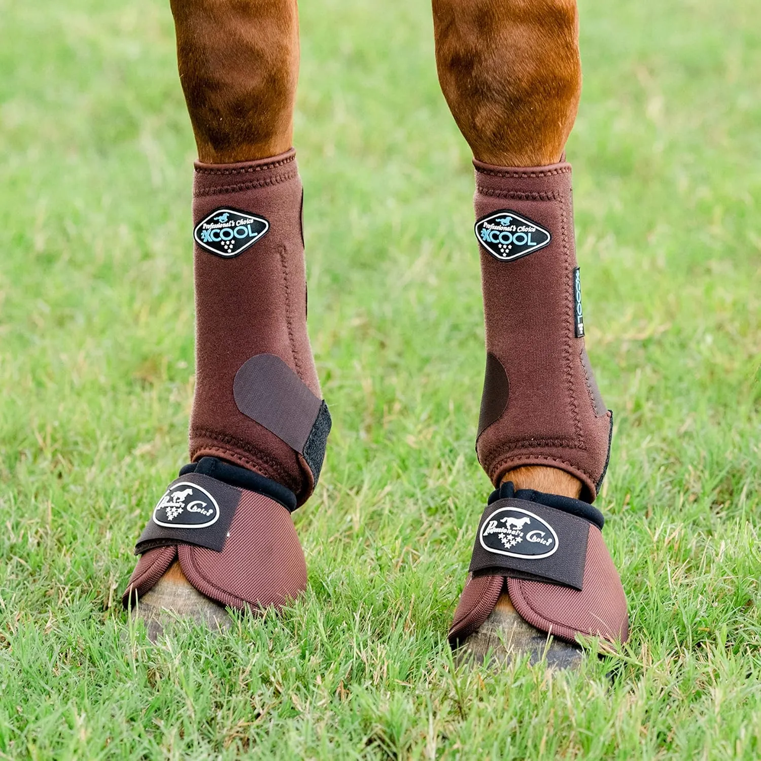 Professional's Choice 2XCOOL Sports Medicine Horse Boots | Protective & Breathable Design for Ultimate Comfort, Durability & Cooling in Active Horses | 2 Pack (Chocolate, Large)