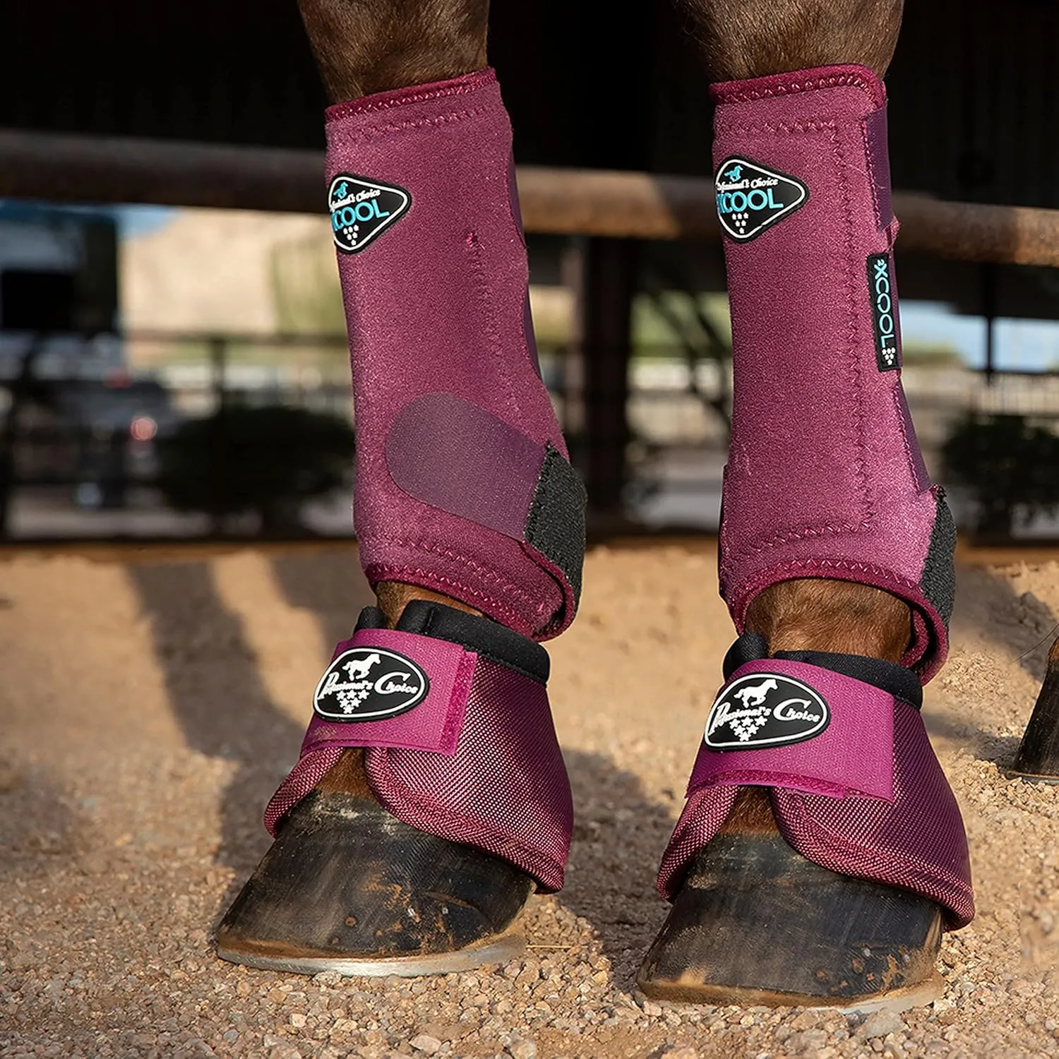Professional's Choice 2XCOOL Sports Medicine Horse Boots | Protective & Breathable Design for Ultimate Comfort, Durability & Cooling in Active Horses | 2 Pack (Wine, Large)