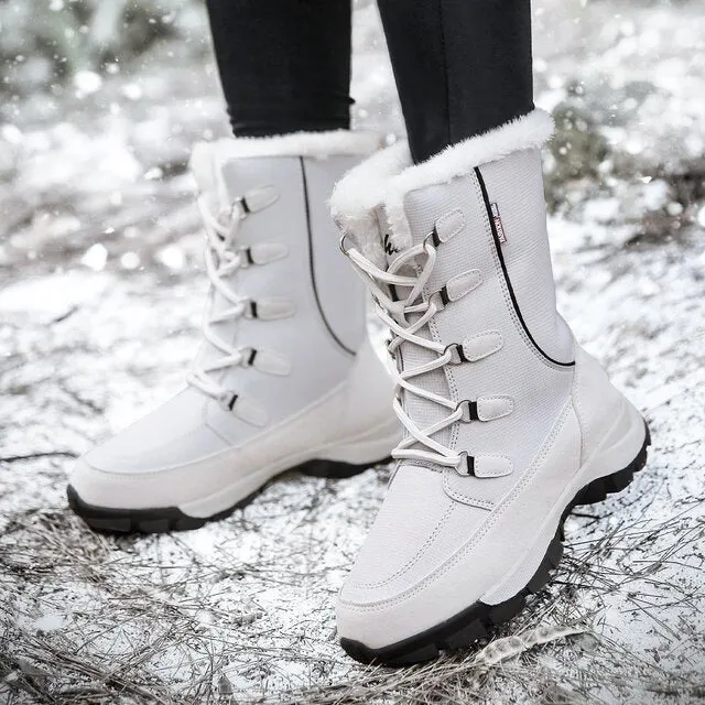 Queen Boots
