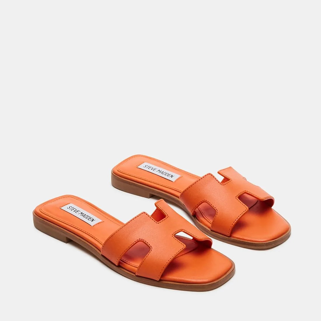 Steve Madden Women's Hadyn Slide Sandal