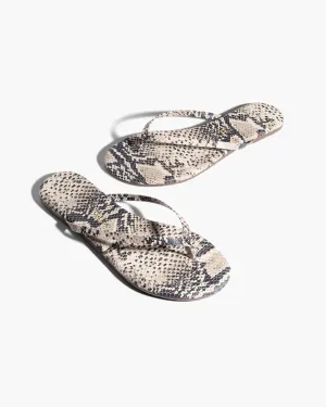 Tkees Lily Vegan Animal - Sandsnake