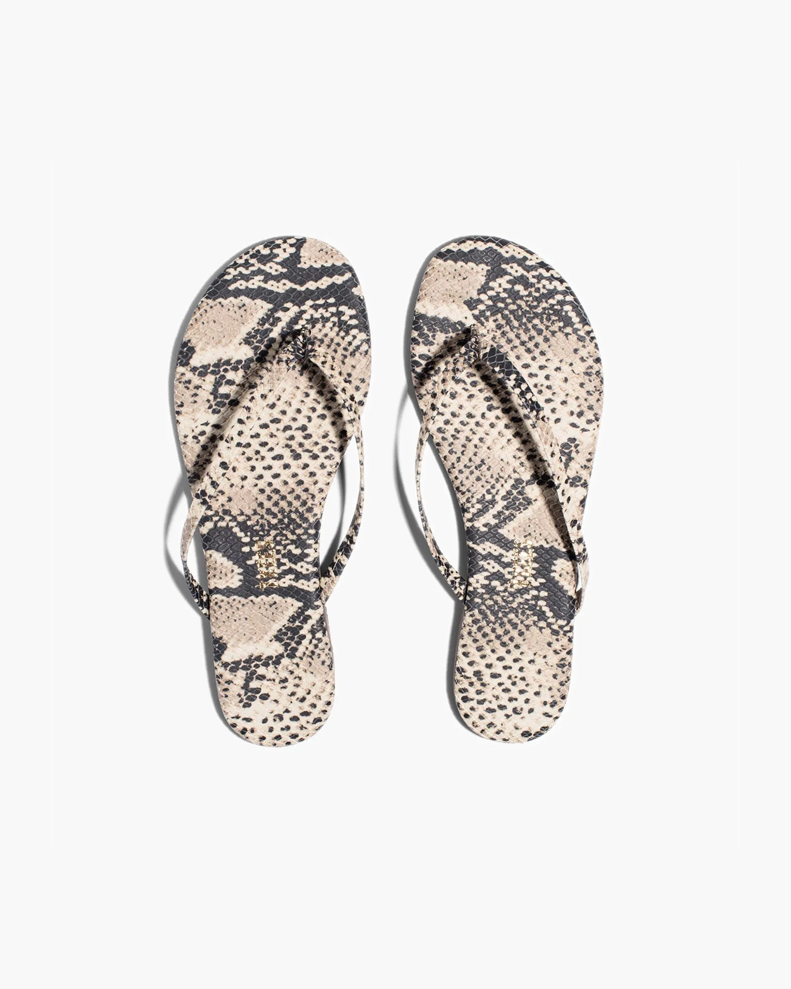 Tkees Lily Vegan Animal - Sandsnake