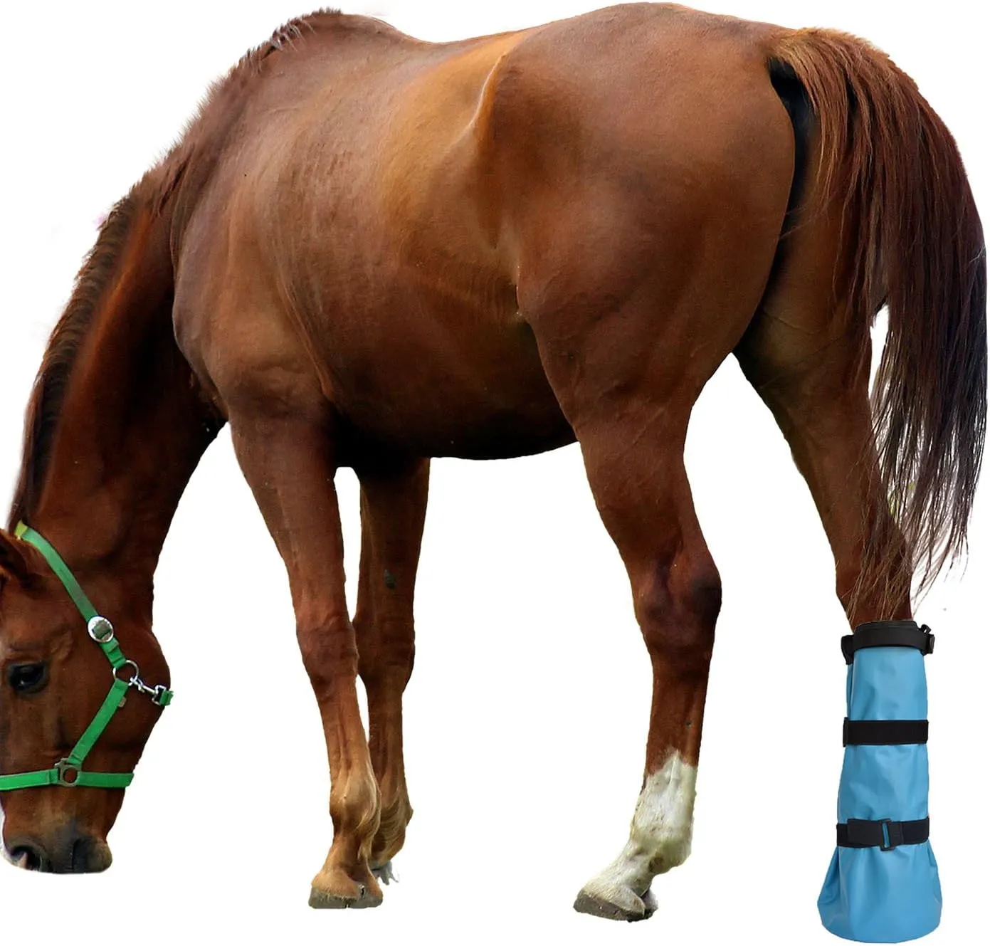 yeezo Hoof Soaking Boot Horse Soaker Hooves Treatment Bag with EVA Pad 1 Pair